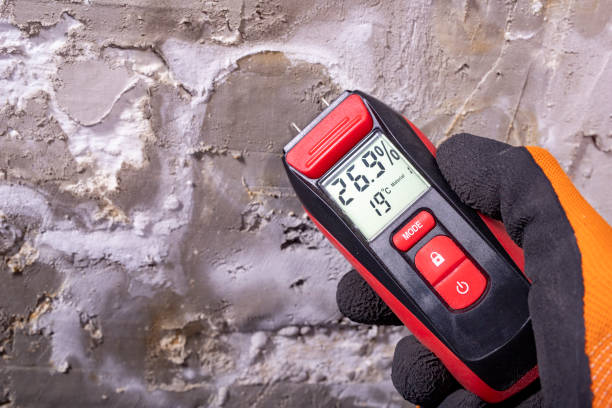 Professional Mold Removal in Heritage Lake, IN