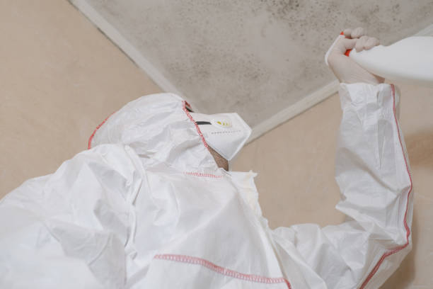 Best Residential Mold Removal  in Heritage Lake, IN