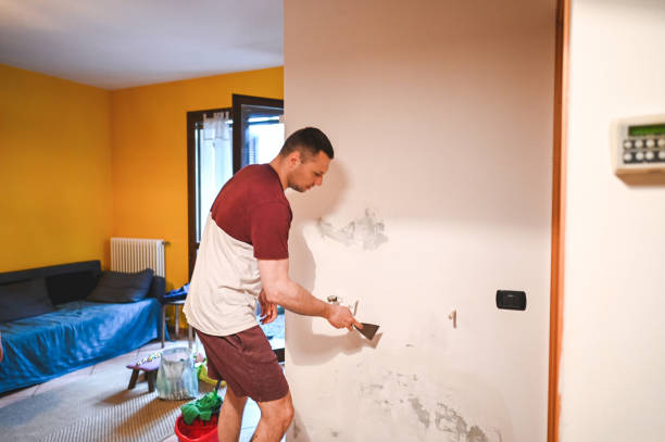 Best Best Mold Removal Companies  in Heritage Lake, IN