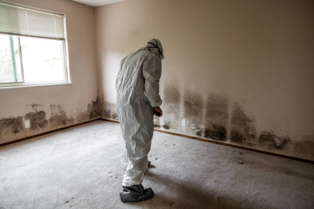 Mold Testing and Removal in Heritage Lake, IN