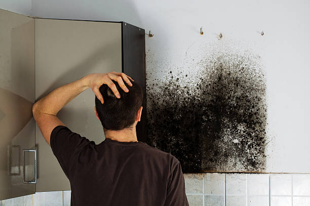 Best Office Mold Removal Services  in Heritage Lake, IN